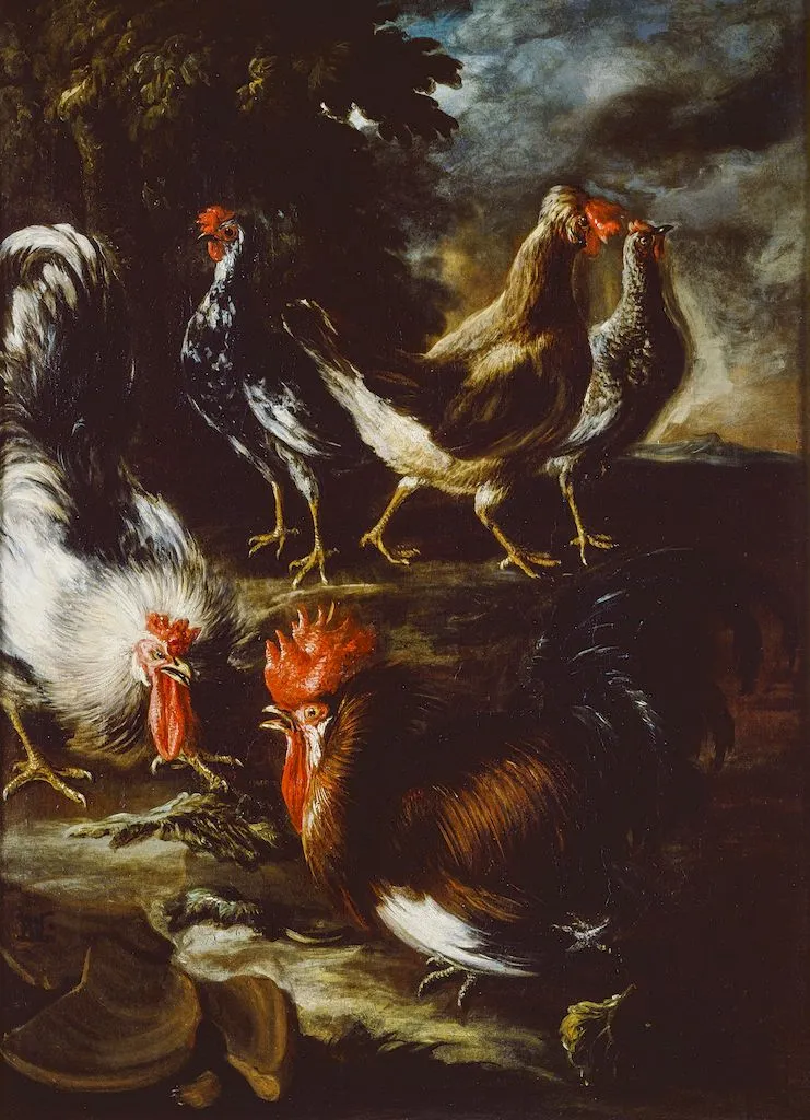 Baldassarre de Caro