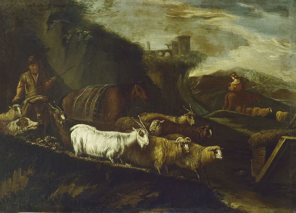 Armenti al pascolo